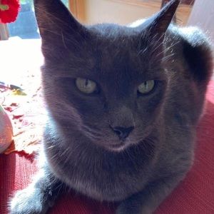 Meet your Posher, Sandra